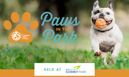 Paws in the Park